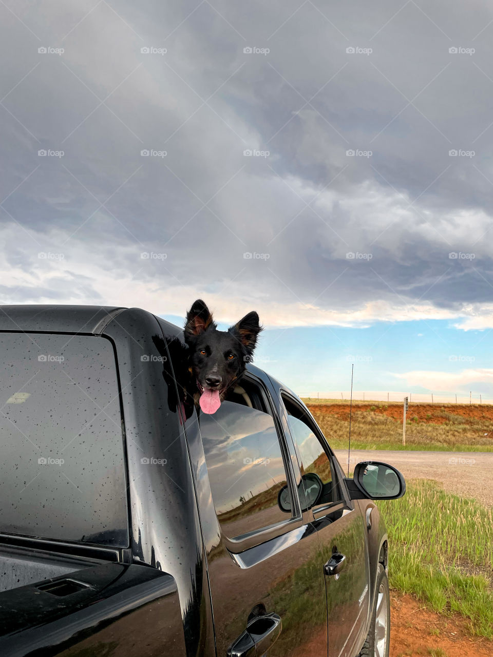 Devils tower collie mix blue heeler Australian cattle dog truck window cute adorable cloudy