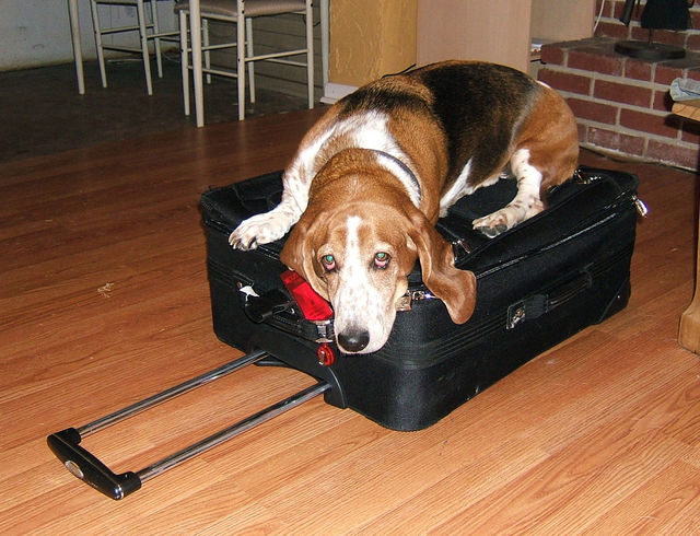 please don't leave