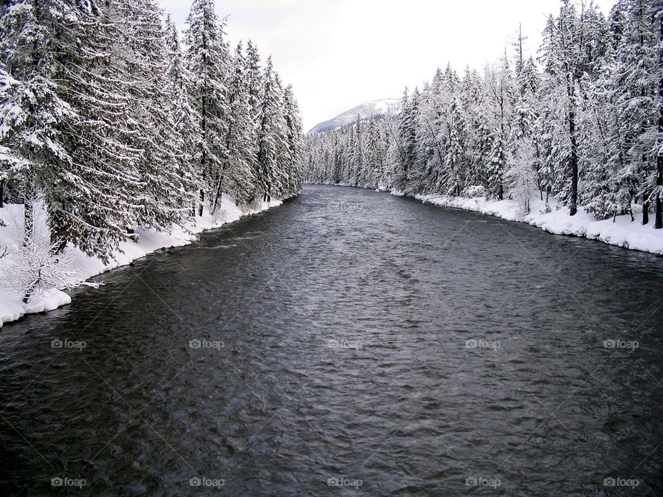 Cle  Elum River at French Cabin