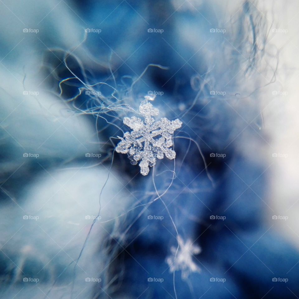 Capture snowflake