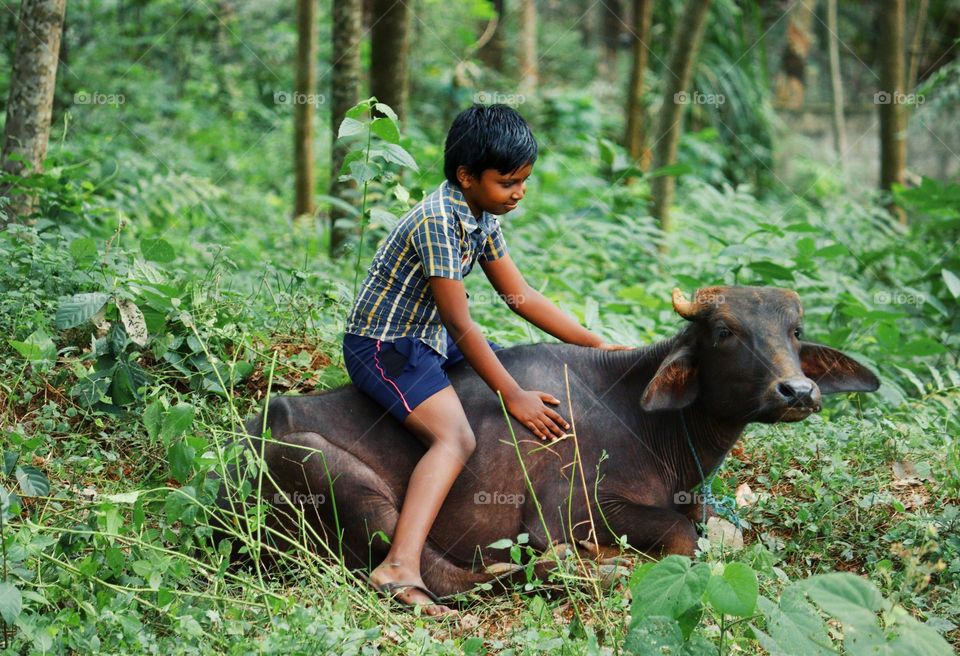 boy on buffalo