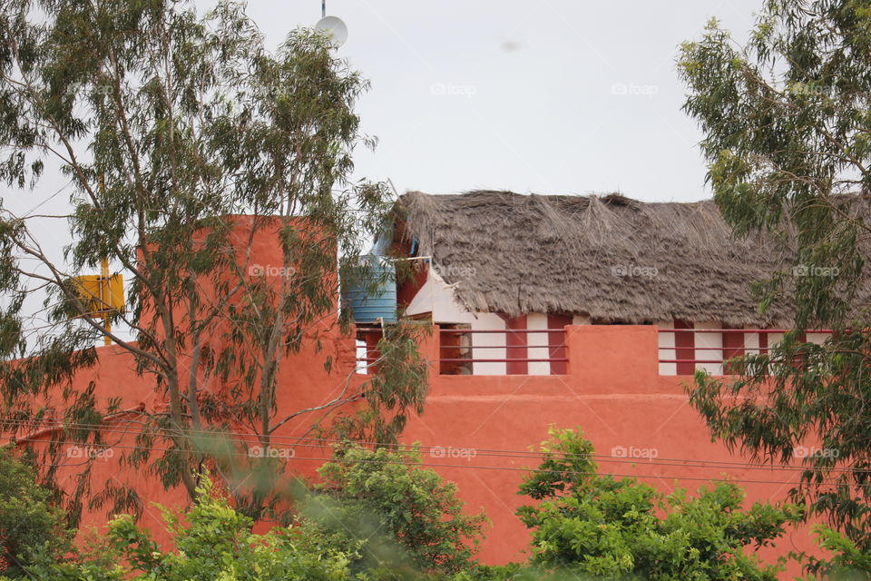 Tree, Building, Architecture, House, Sky