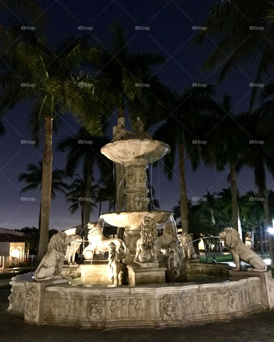 Fountain at night 