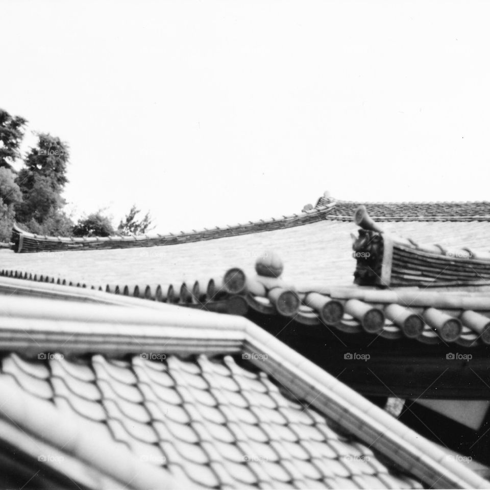 Japanese roof
