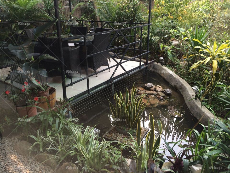 Zen Garden with pond 