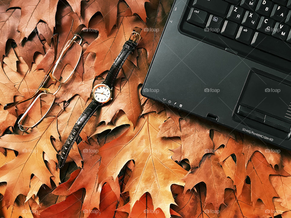 Overheard view of a notebook, watches and glasses on orange autumn leaves background 