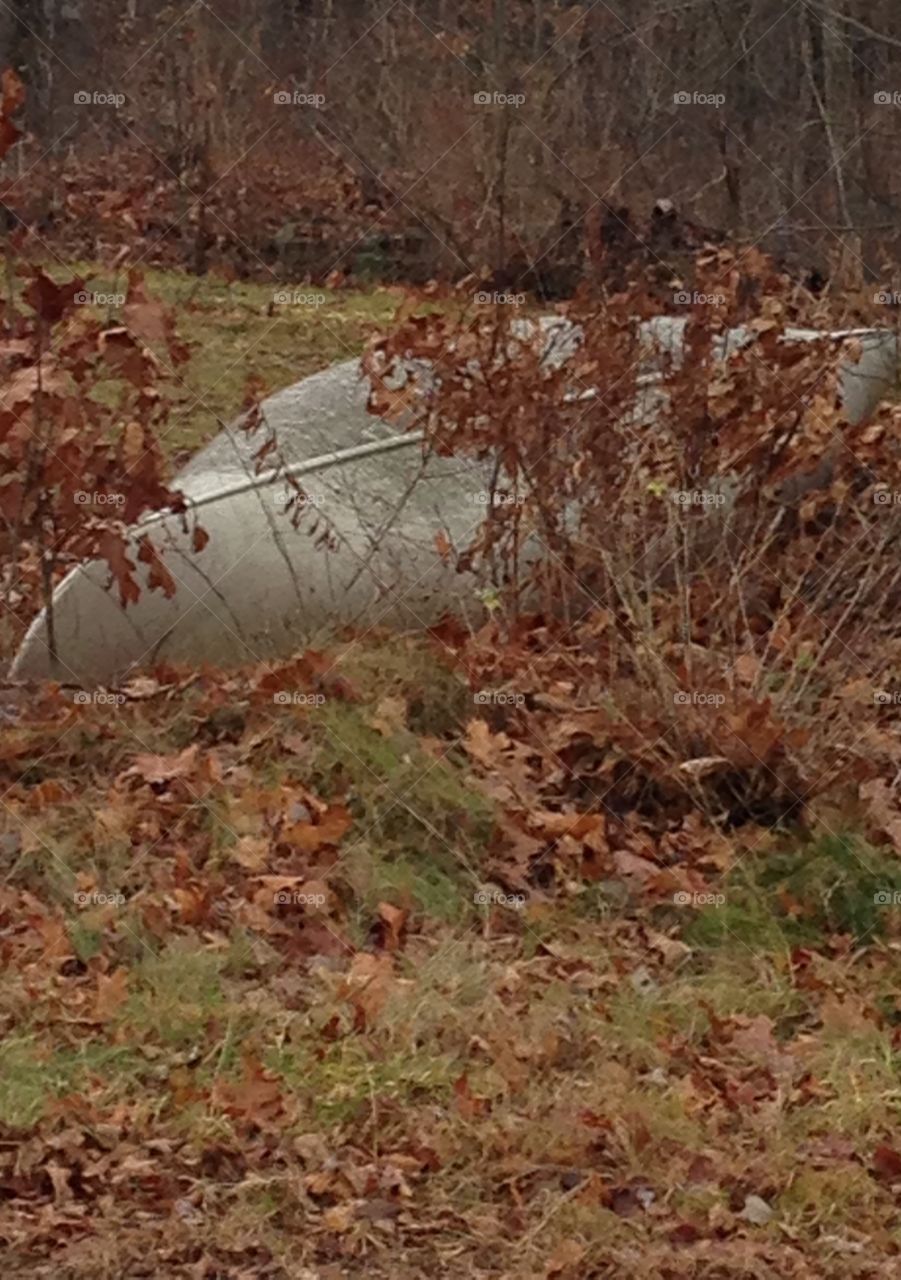 Left behind for the winter...