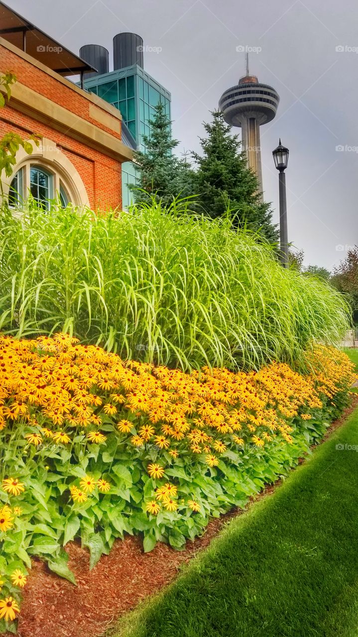 Flower Beds