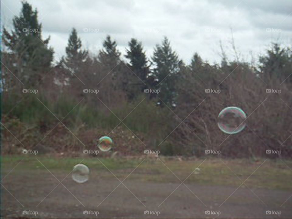 Bubbles