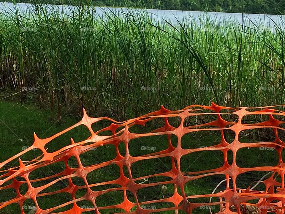 Orange plastic fence