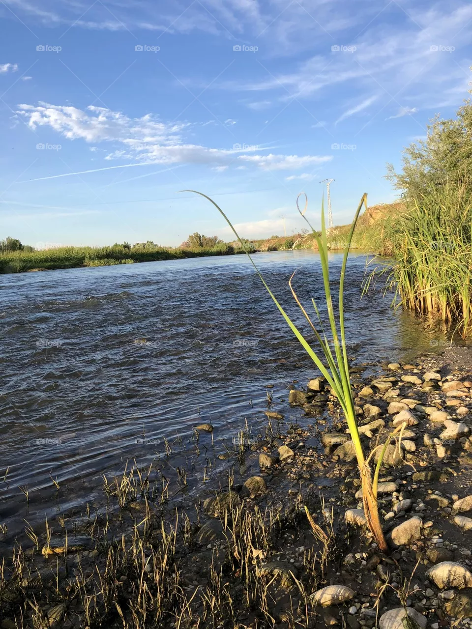El paisaje de río 