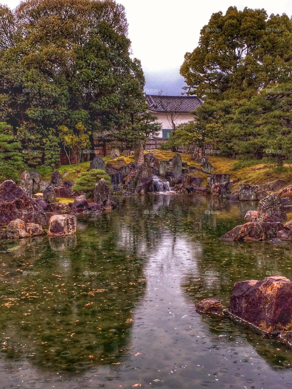 Japan  garden 