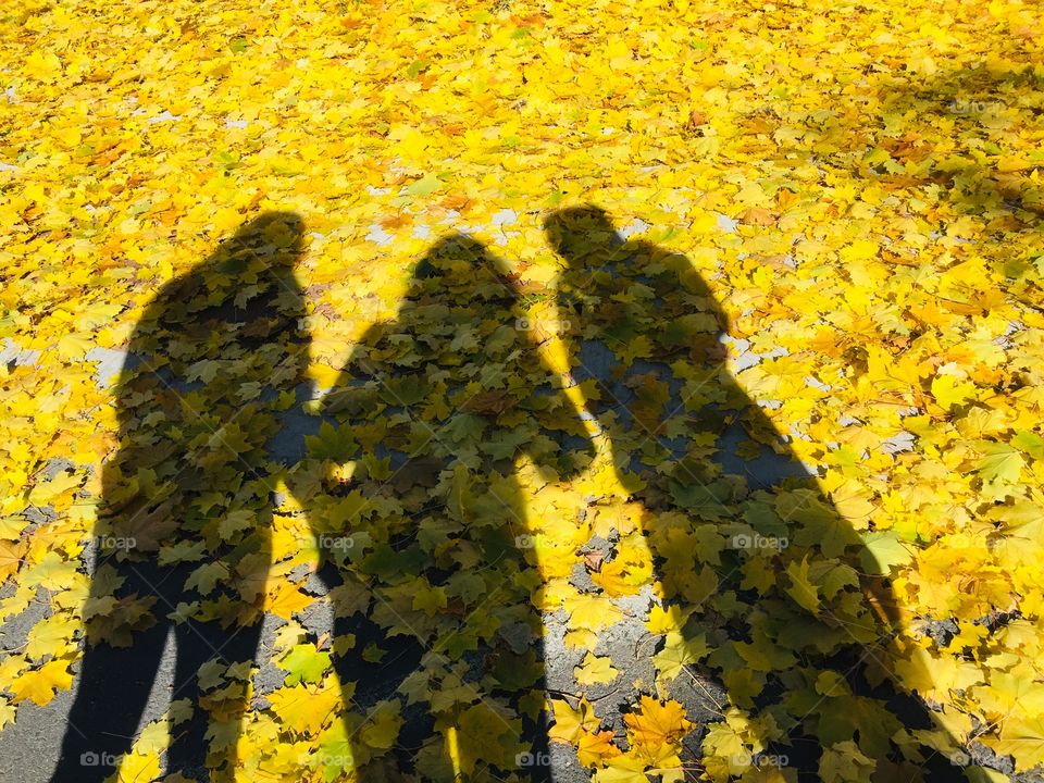 Friends silhouettes on a carpet of yellow fall leaves