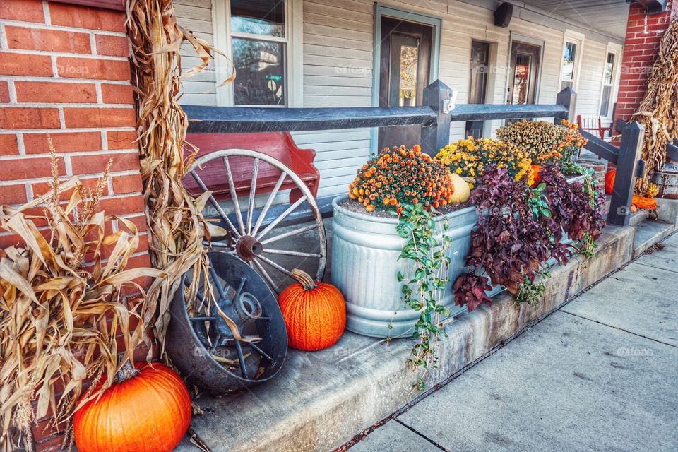 View of autumn decorations