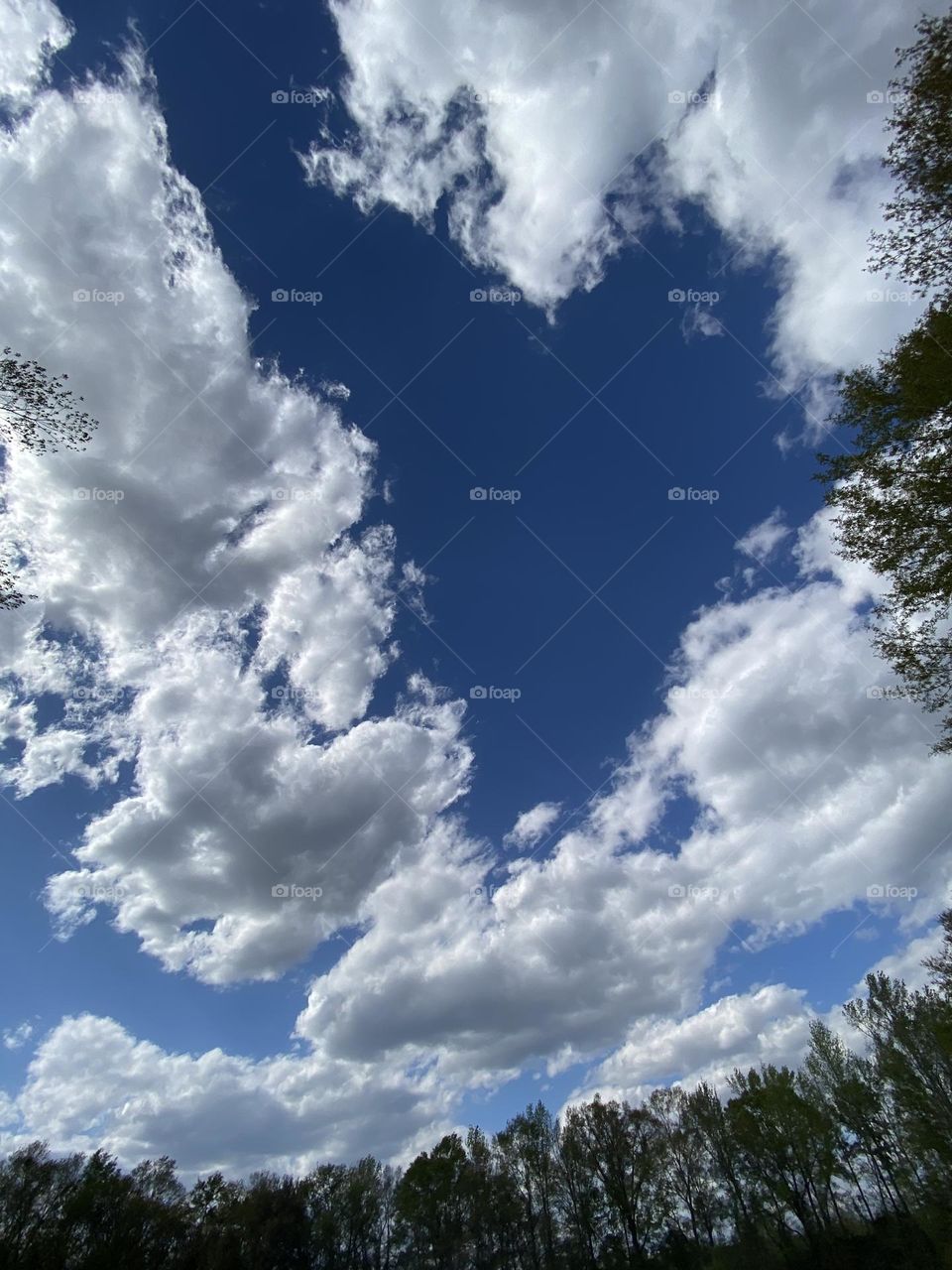 Watching the clouds dance 