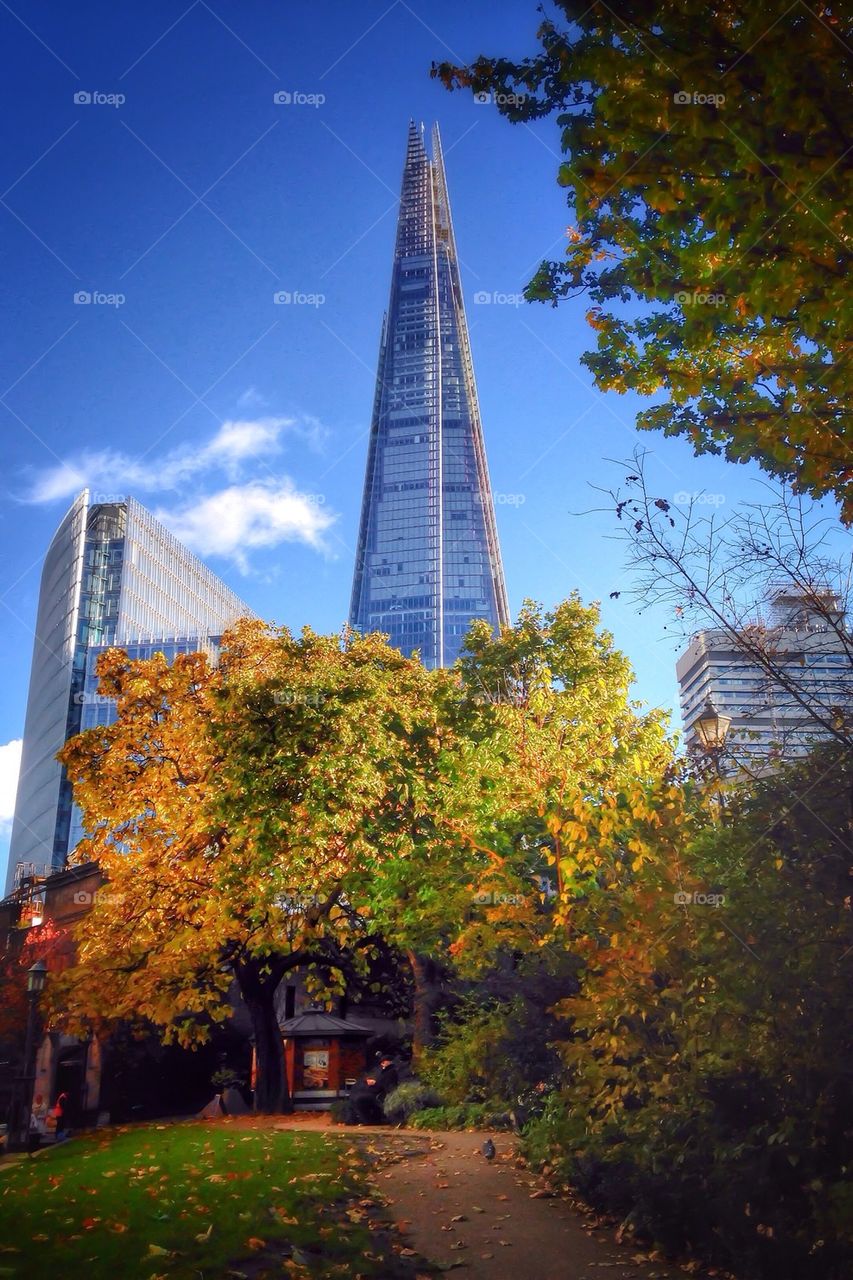 The shard, London