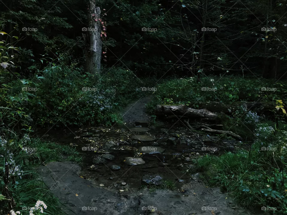 Nature