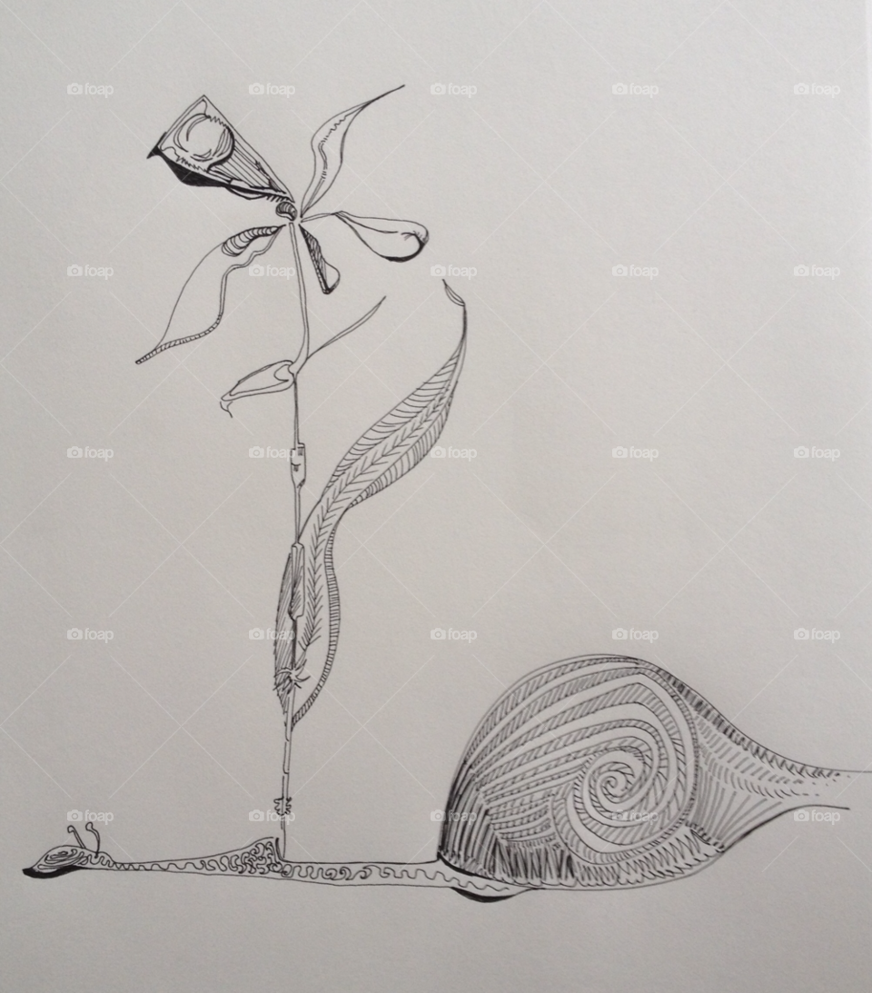 flower snail hand drawn pen ink by MikeDGriffin