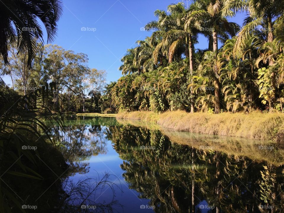 Nature reflection in the river