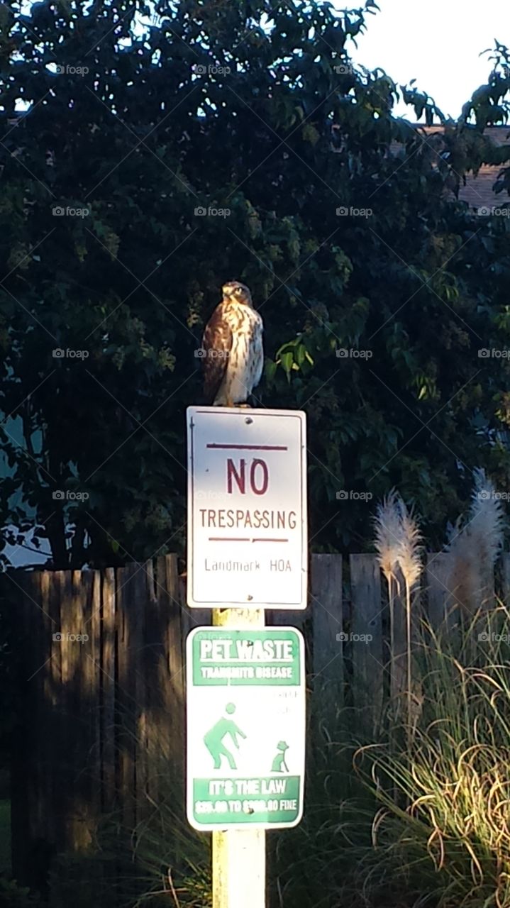 No trespassing - blatant disregard for the rules