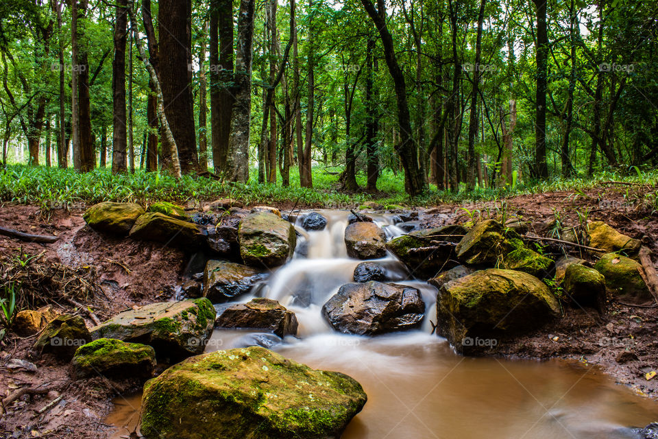 stream running through some moss covered rocks in the mountains