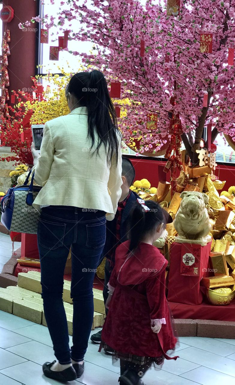 Chinese Luna Year Of The Dog 