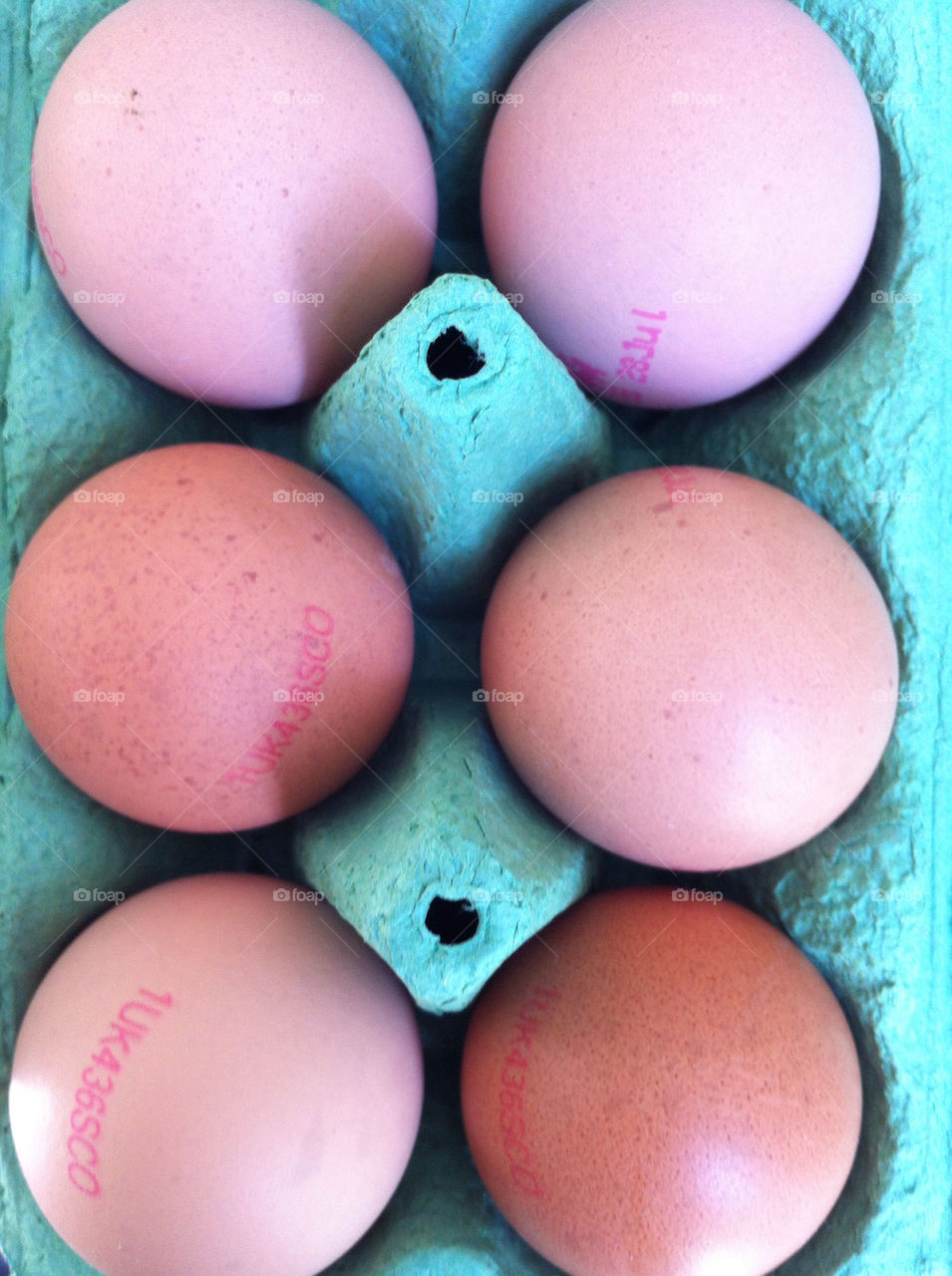 green food brown eggs by emmam