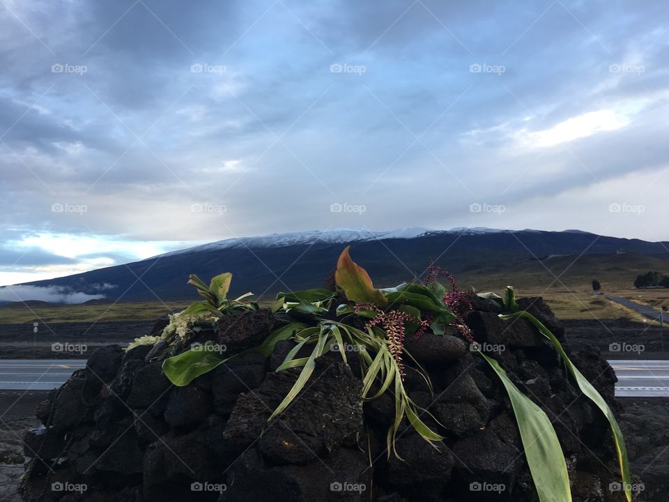 Kuʻahu and Mauna Kea