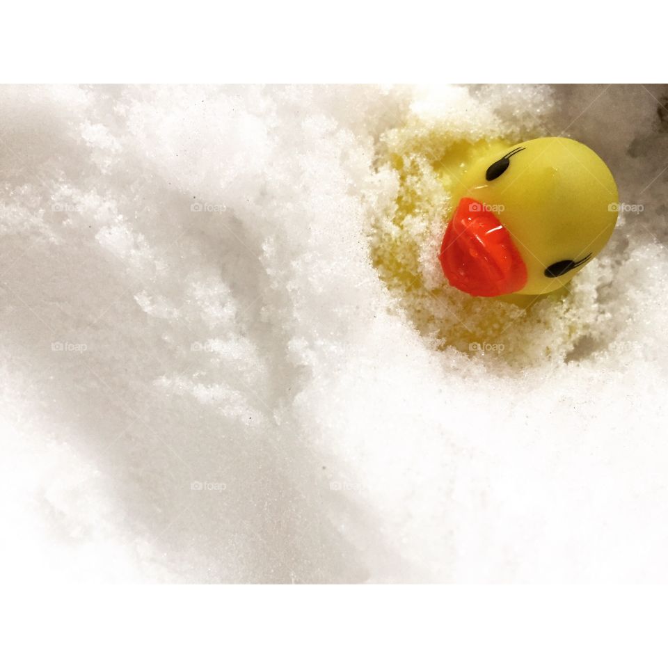 Duckie in the Snow. A rubber duckie in snow.