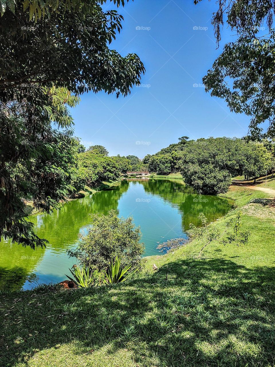 Indaiatuba Ecological Park