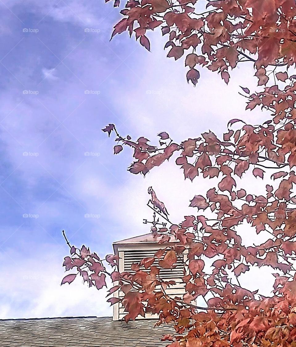 Weathervane in the Trees