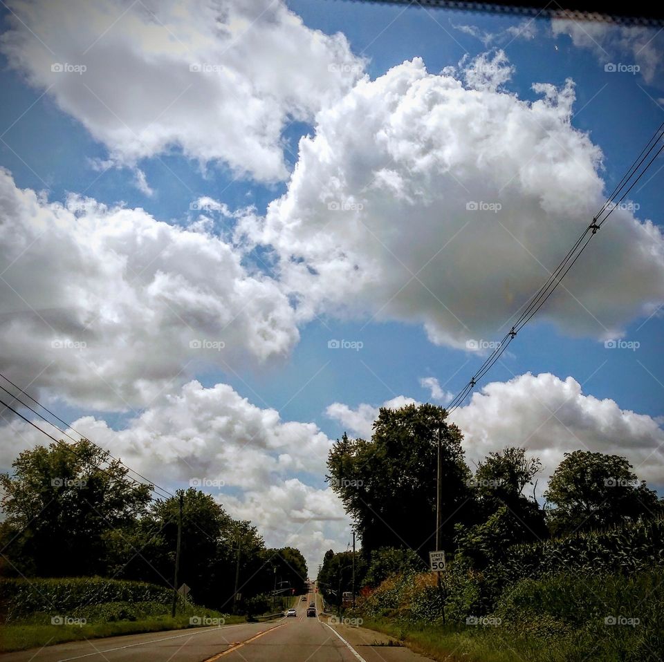 clouds touching trees