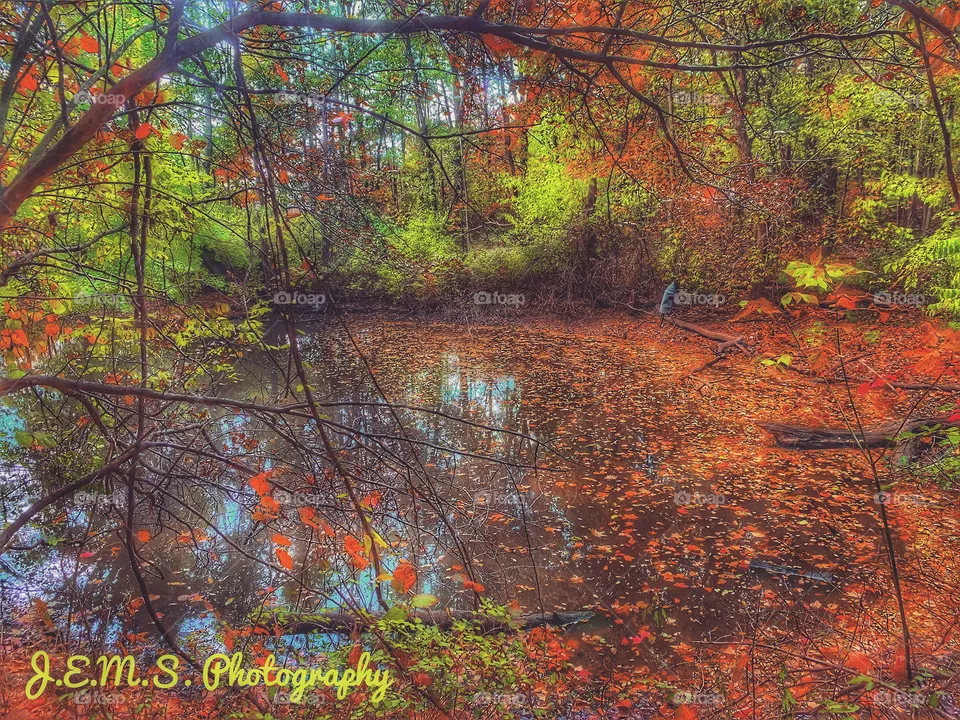 Fall 