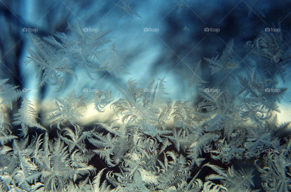 Frost on window, Moorhead, MN
