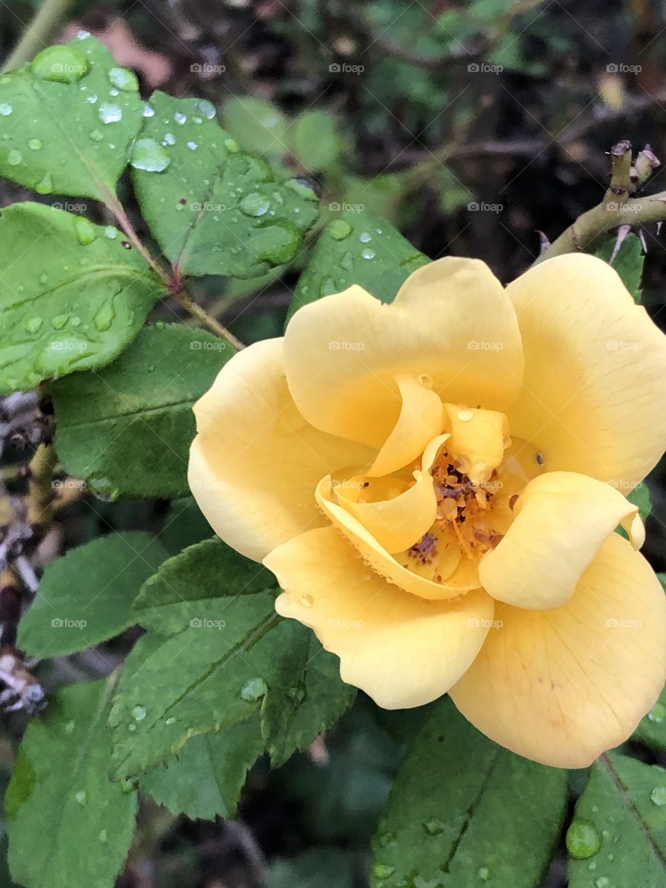 Fall has come but Summer hasn’t ended