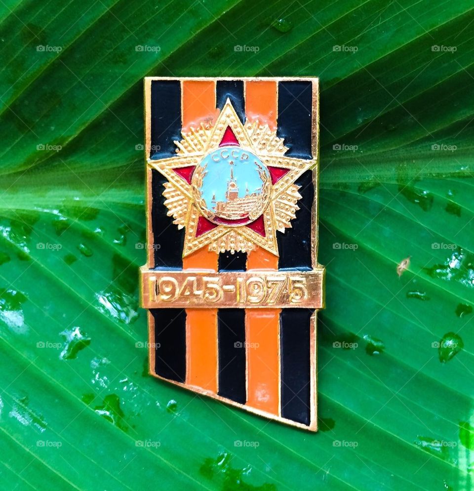 Soviet USSR vintage badge