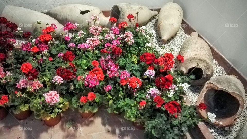 fiori colorati e vasi antichi