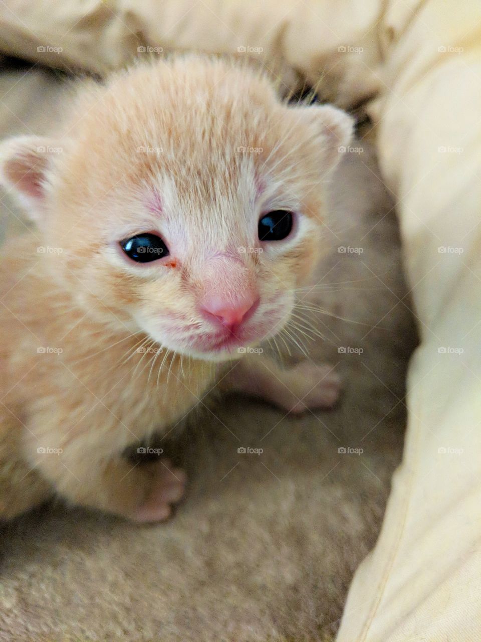 Don't forget about me