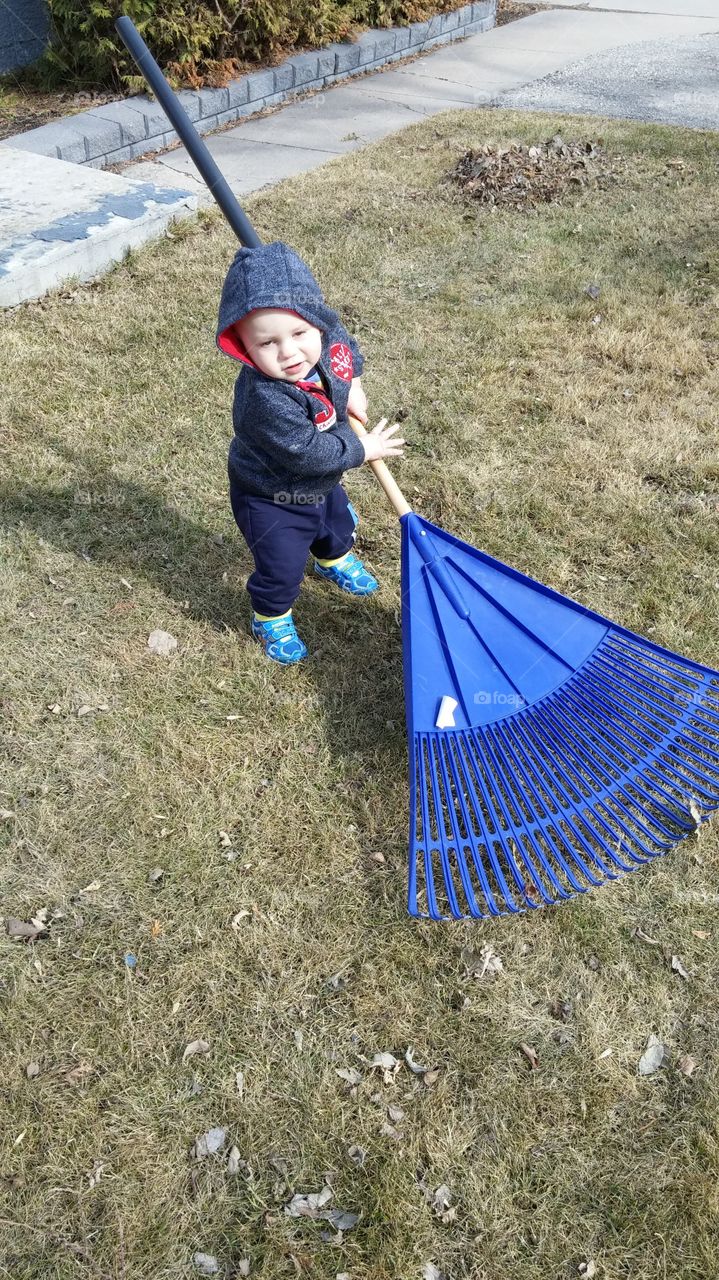 moms little helper. trying his best to help rake