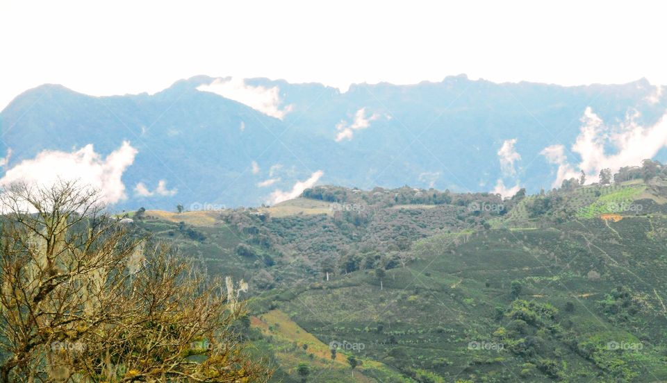 Apia, risaralda, Colombia. Alfondo  el tatama, monte de 4500 metros de altura. Hermoso!