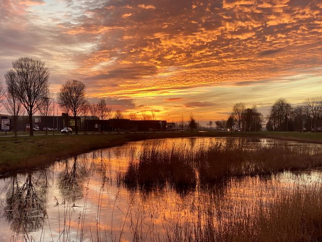 In my neighborhood, sunset in a large pool. Dutch landscape. Orange, colorful ! 
