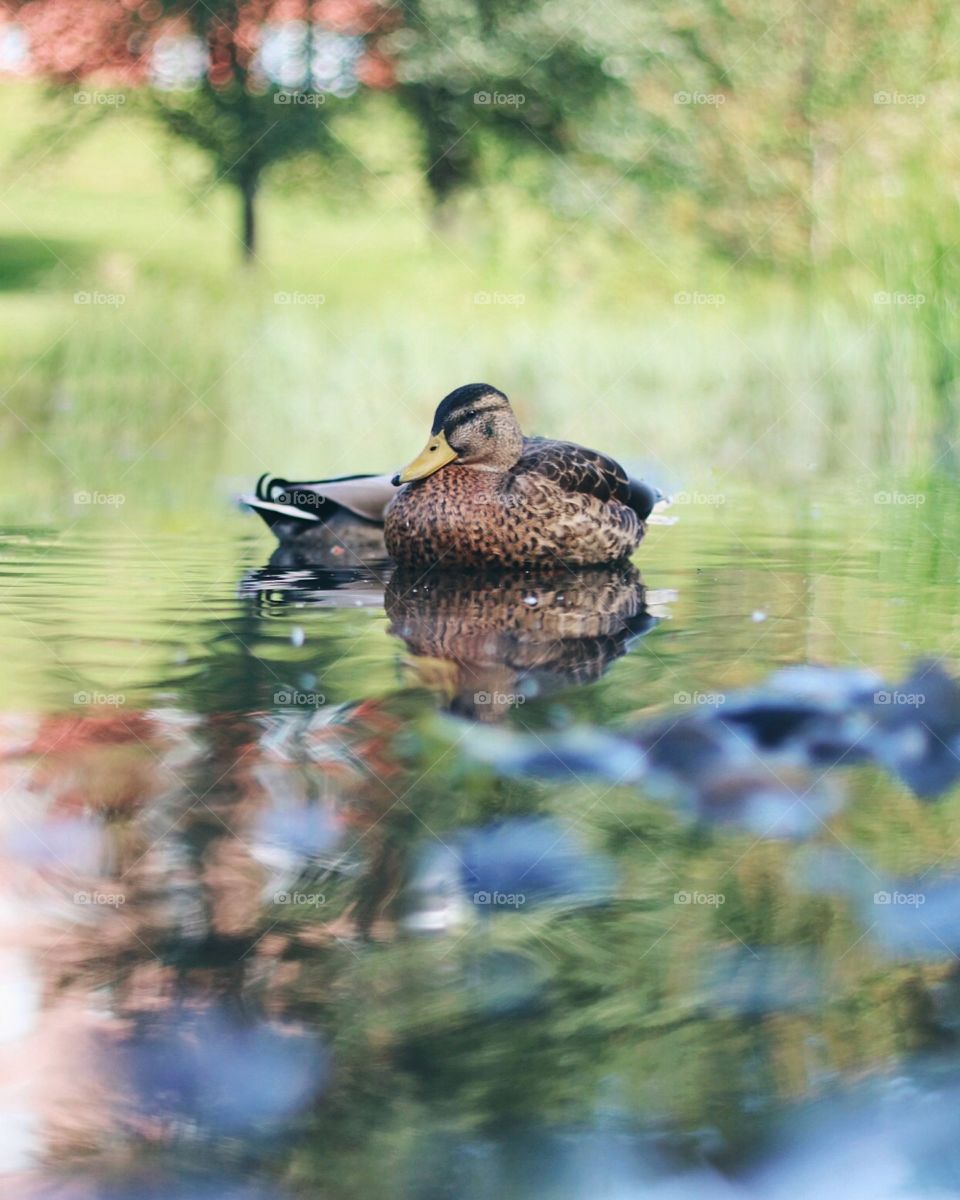 Relaxing