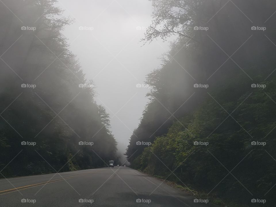 road trip fog