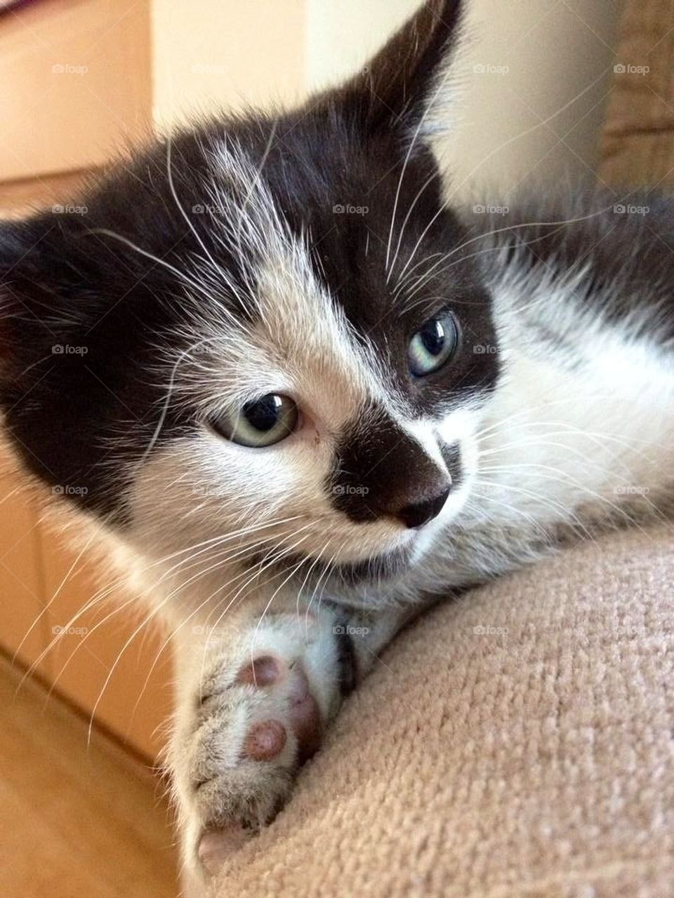 "Don't take my picture!"