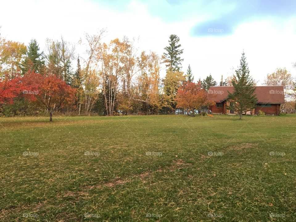 Autumn at the cabin