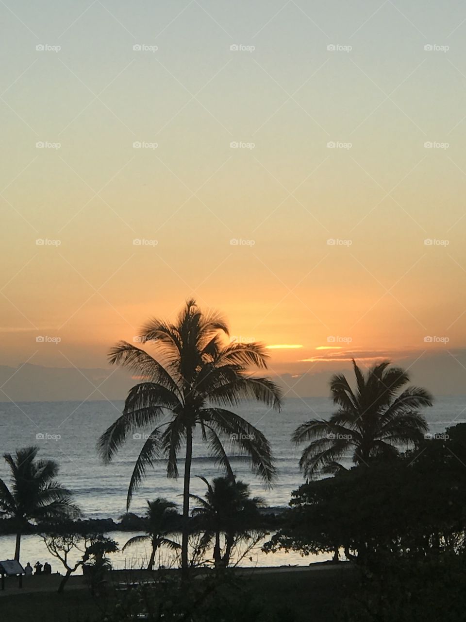 Coastal Sunrise