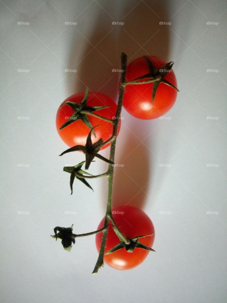 tomatoes