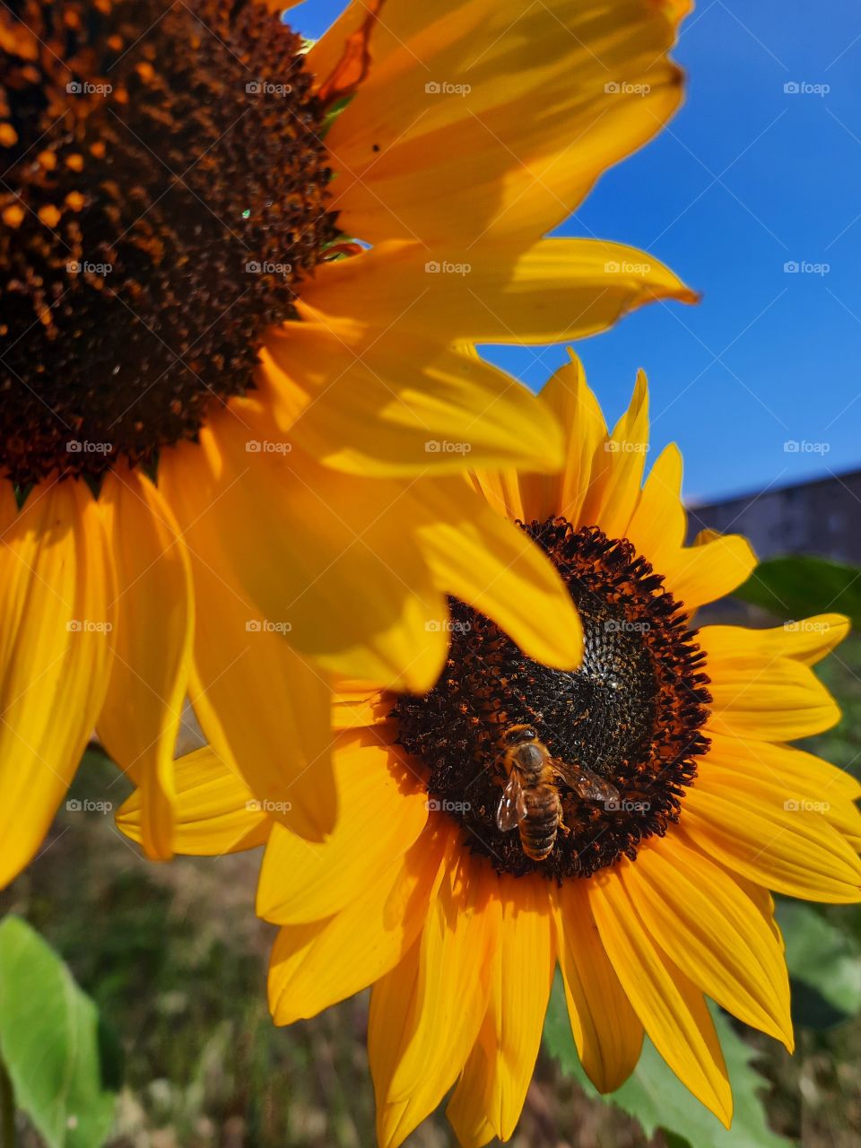 Last glimpse of summer