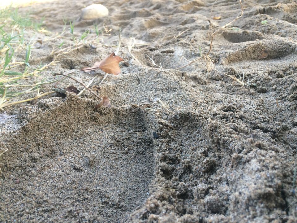 Sand.... 