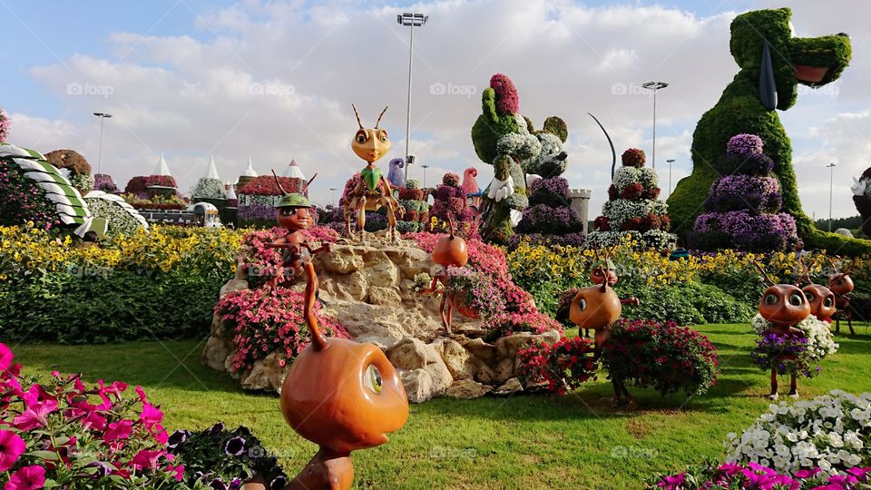 Dubai Miracle Garden